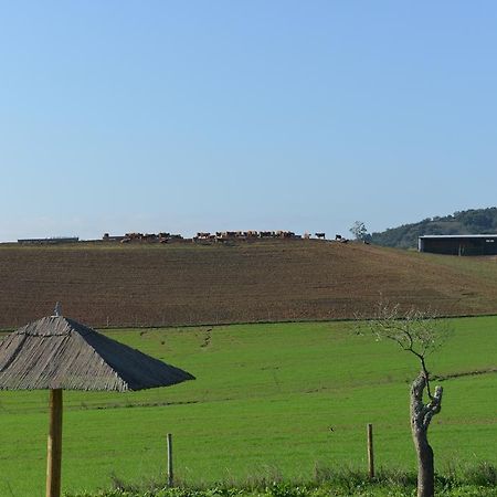 Herdade Dos Montes Bastos Santa Luzia  Esterno foto