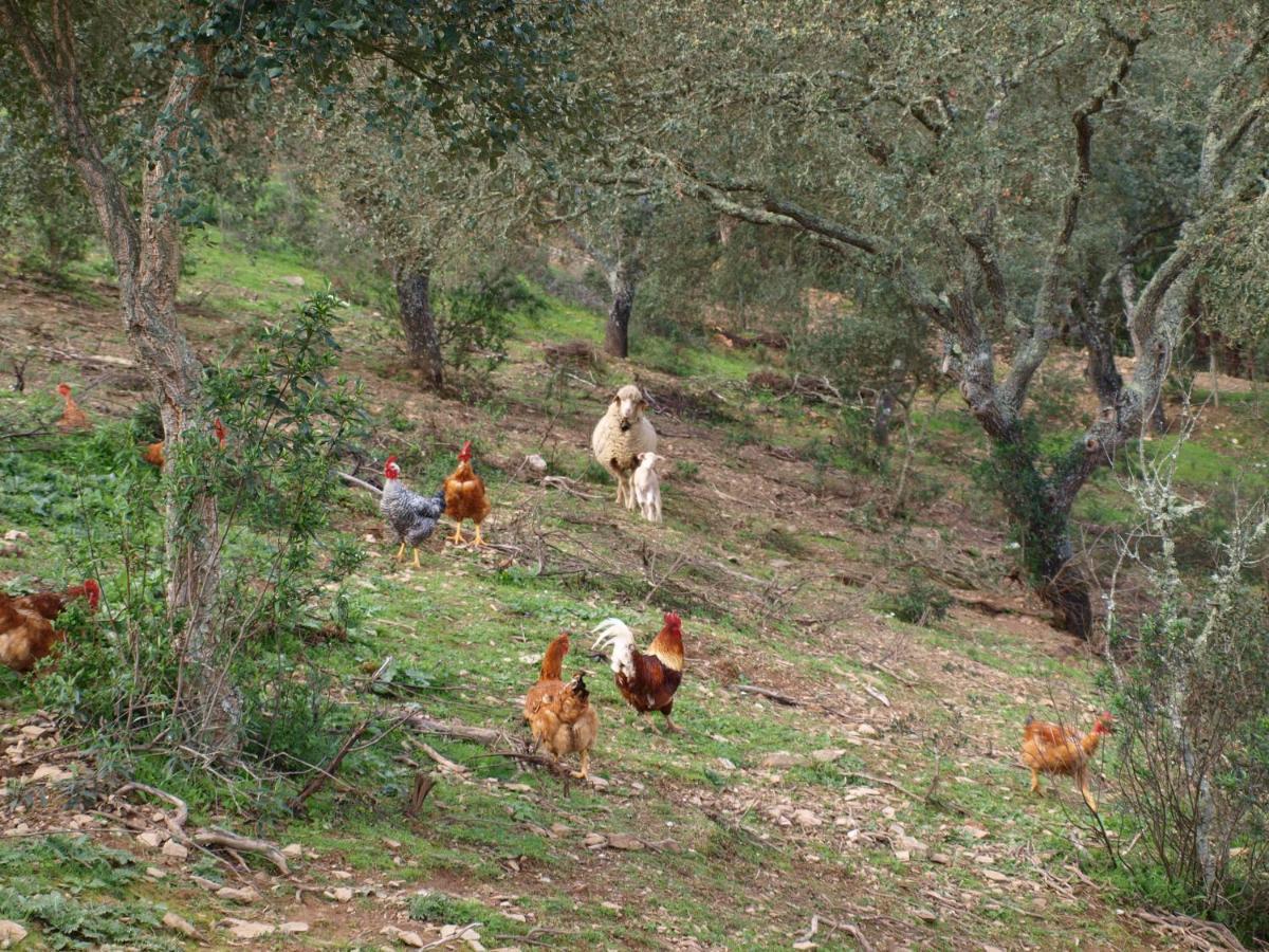 Herdade Dos Montes Bastos Santa Luzia  Esterno foto
