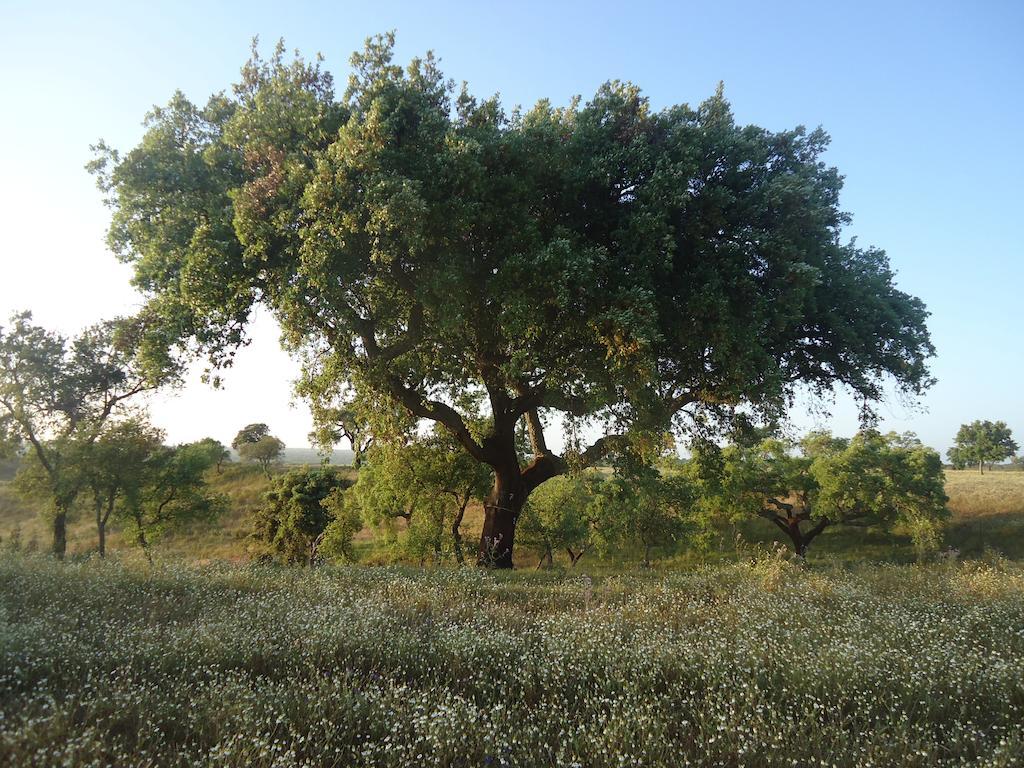 Herdade Dos Montes Bastos Santa Luzia  Esterno foto