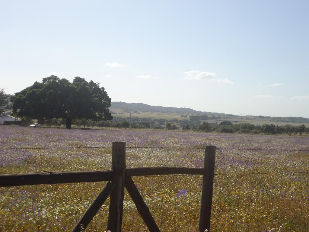 Herdade Dos Montes Bastos Santa Luzia  Esterno foto
