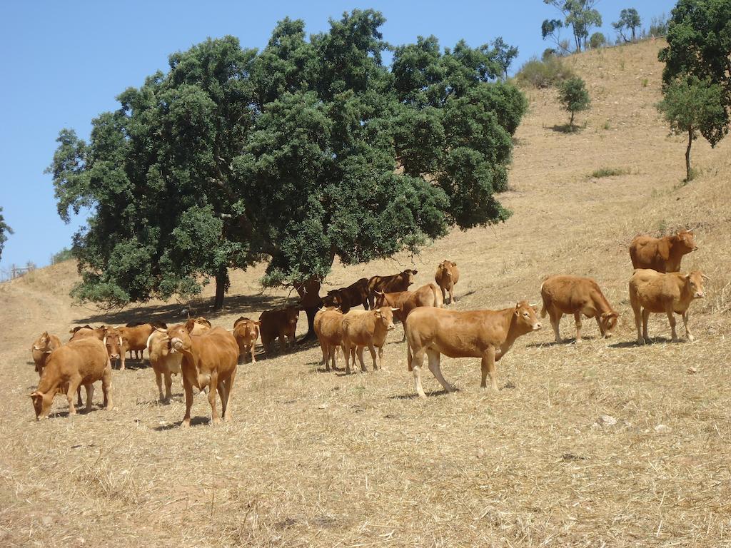 Herdade Dos Montes Bastos Santa Luzia  Esterno foto